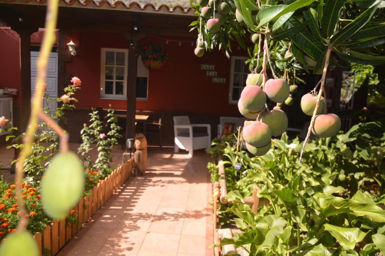 Holiday House Tia Lila San Sebastián de la Gomera Extérieur photo